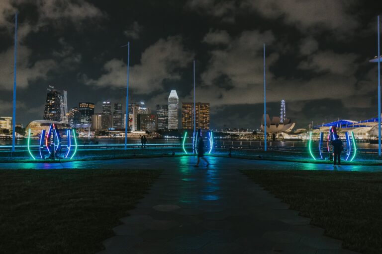 Night cityscape with illuminated neon structures.