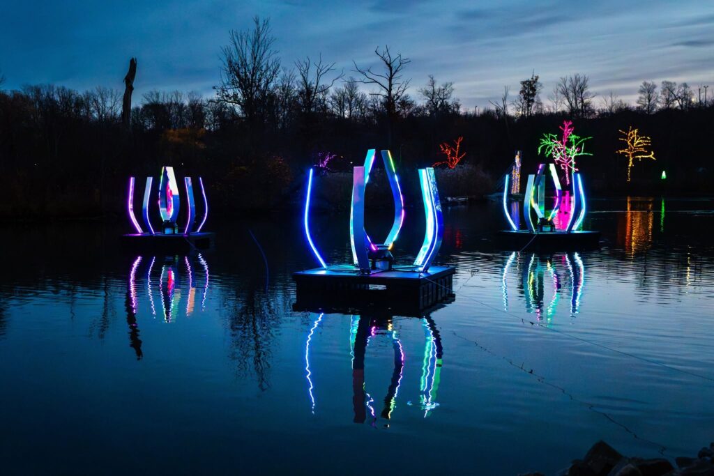 Light Anemones by Malte Kebbel, Niagara Falls, Canada, Winter Festival of Lights 2025